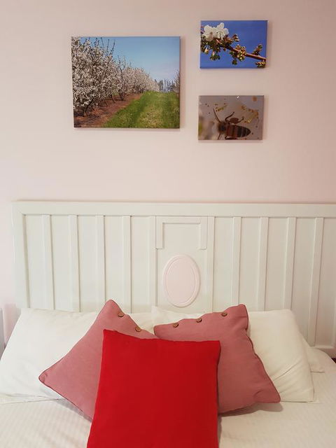 Town House Motor Inn Young - Australian Directory 1