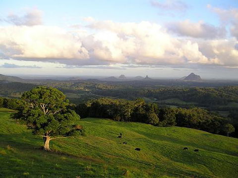 Tranquil Park - Australian Directory 0