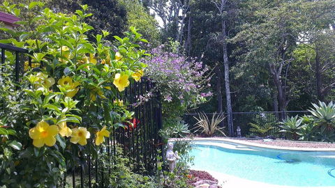 Tropical Coast Retreat - Pet Friendly - Australian Directory 0