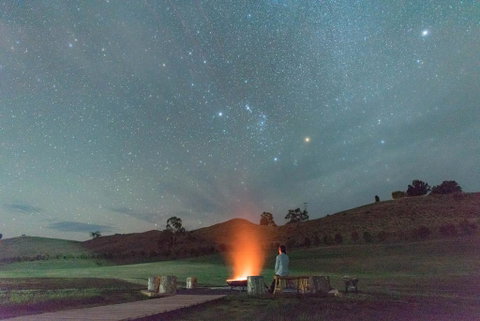 Truffle Lodge - Australian Directory 2