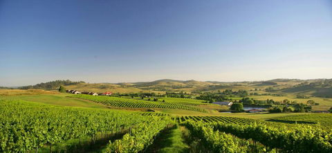 Turners Vineyard Motel - Australian Directory 0