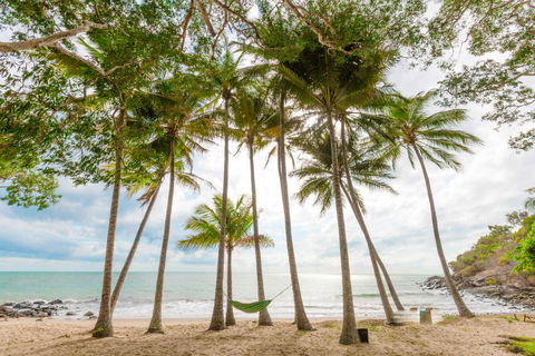 Turtle Cove Beach Resort - Adults Only LGBTQIA & Allies - Australian Directory 3