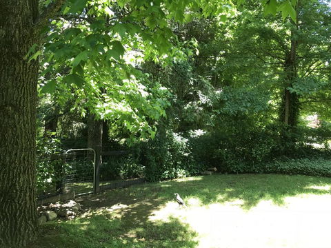 Tyntynder Garden Cottage 4 - Australian Directory 2
