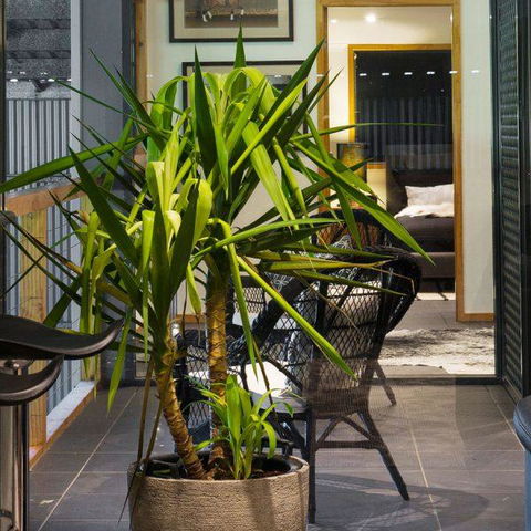 Val D'Argent Equestrian Centre - Australian Directory 2