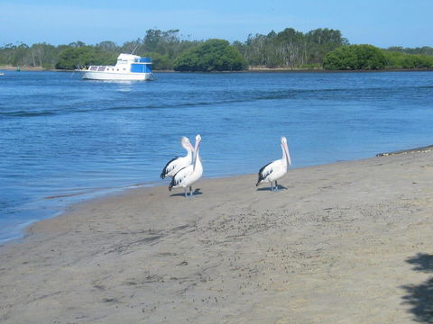 Views To Yaccaba Headland - Australian Directory 2