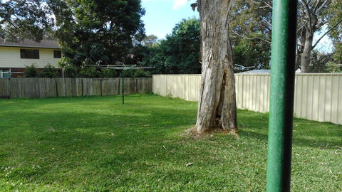 Villa Davoll At Hat Head (Pet Friendly) - Australian Directory 1
