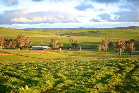 Wantana Cottage Farmstay - Australian Directory 0