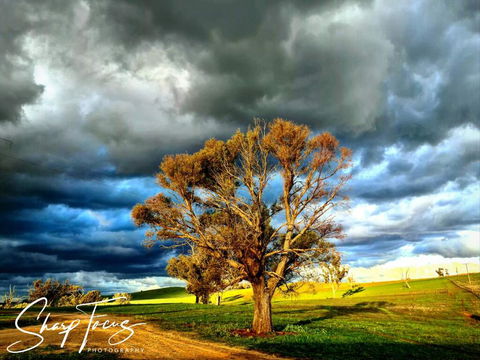 Wantana Cottage Farmstay - Australian Directory 2