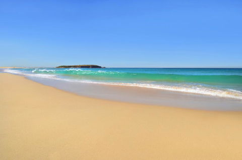 Warilla Sands - Australian Directory 0