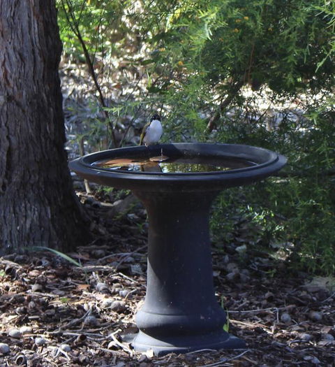 Waterside View - Australian Directory 3