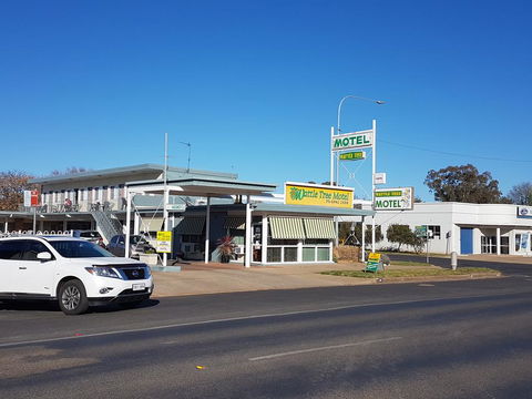 Wattle Tree Motel - Australian Directory 0