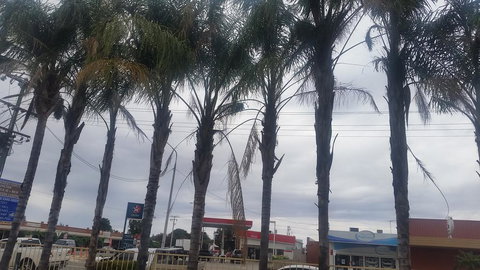 Wentworth Club Motel - Australian Directory 2