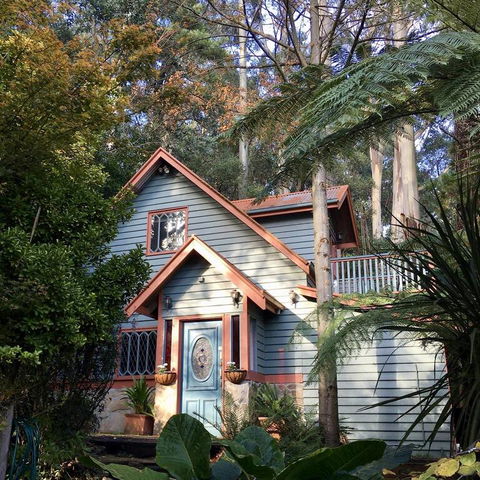 Wild Orchid Olinda - Australian Directory 3