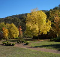 Willowlake Cottages - Australian Directory