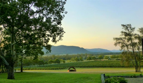 Winmark Wines - Australian Directory 0