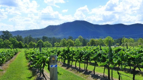 Winmark Wines - Australian Directory 1