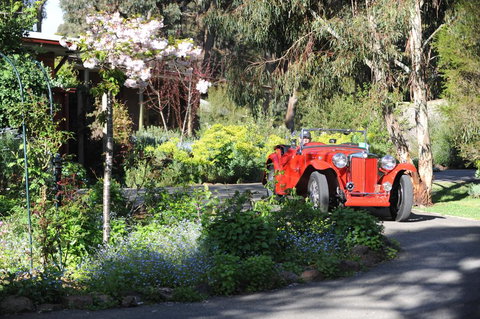 Wintarni Olives Cottage - Australian Directory 1