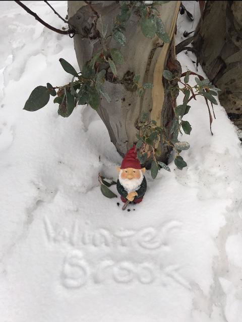 Winterbrook Chalet - Australian Directory 3