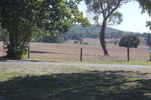 Wonky Stables Holiday Park - Australian Directory 2