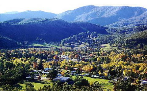 Wood Street Central - Central Location! - Australian Directory 1