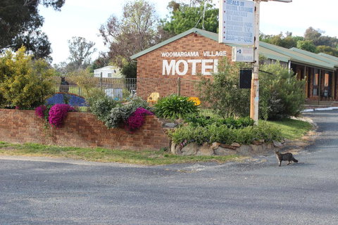 Woomargama Motel - Australian Directory 3
