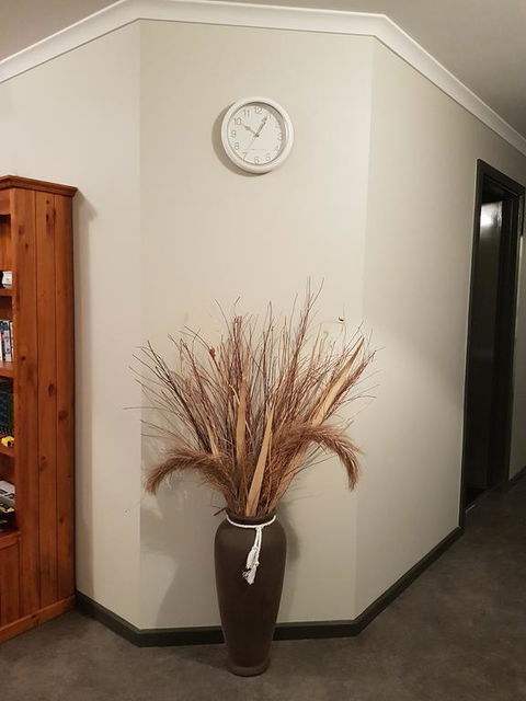 Wudinna Farm View - Australian Directory 3