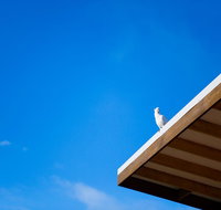 Wye Not Escape - Australian Directory