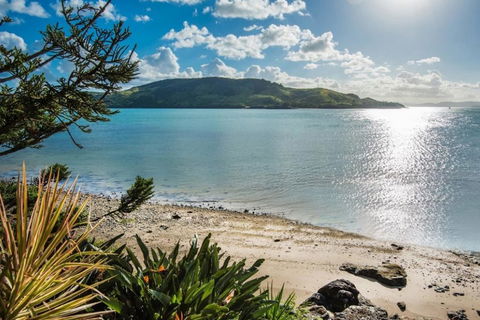 Yacht Club 19 Villa Bijou De Mer Ocean Front Private Pool 2 Buggies - Australian Directory 1