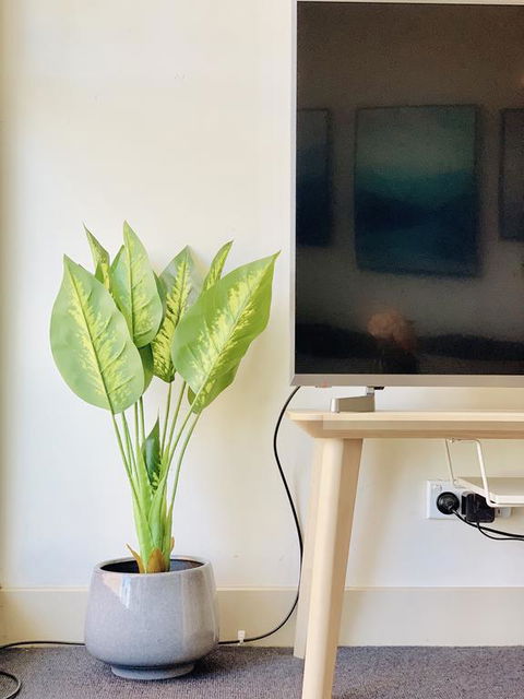 ZEN Homes On Collins - Australian Directory 3