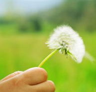 Green Beginnings Child Care Centre  Kindy - Australian Directory