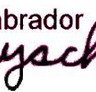 Labrador Playschool - Australian Directory