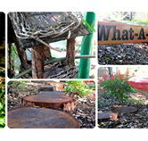 Willmore Kindergarten  Preschool - Australian Directory