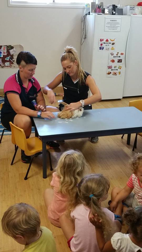 Snugglepot Kindyland - Australian Directory 9