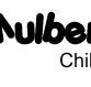 Mulberry Tree Wembley Kids Club - Australian Directory
