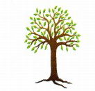Kadina Child Care Centre - Australian Directory