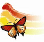 Capalaba Kindergarten - Australian Directory