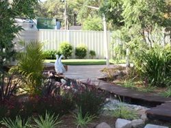 Cameron Park Early Learning Centre - Australian Directory 3