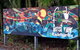 C & K Forestview Community Kindergarten - thumb 16