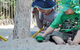 Territory Child Care Group Inc - thumb 12