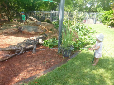 Territory Child Care Group Inc - Australian Directory 4