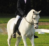 Encantador The Riding School - Australian Directory