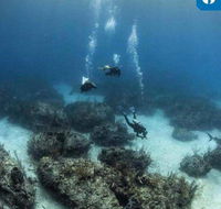 Tweed Seasports - Australian Directory