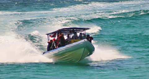 Tweed Seasports - Australian Directory 4