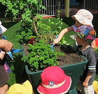 Noosaville Child Care  Preschool Centre - Australian Directory