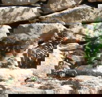 Jenolan Caves House - Australian Directory