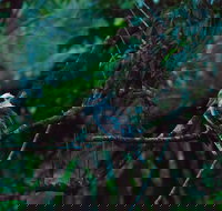 Broken River Mountain Resort - Australian Directory