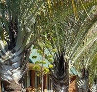 The Miners Rest Motel - Australian Directory