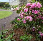 Anabels of Scottsdale - Australian Directory