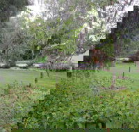 Amy's House - Australian Directory