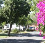 BIG 4 Hay - Australian Directory